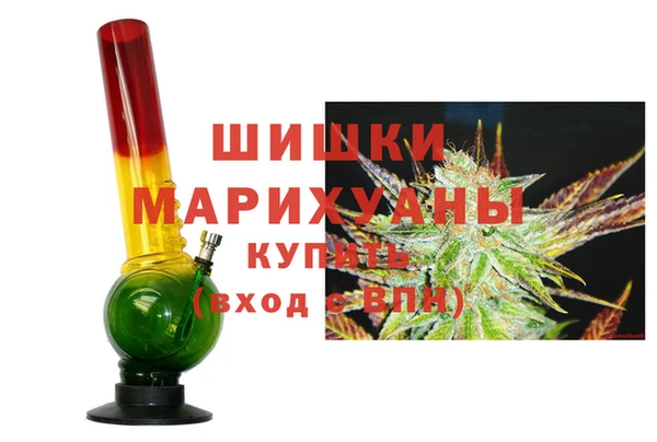 ГАЛЛЮЦИНОГЕННЫЕ ГРИБЫ Новозыбков