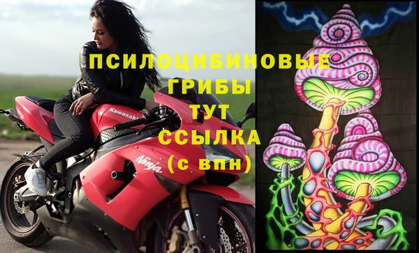 скорость Новокубанск