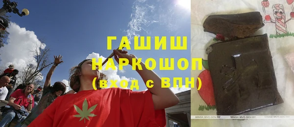 сатива Новодвинск