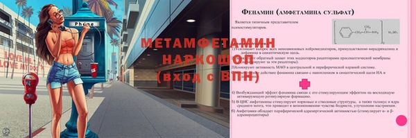 ГАЛЛЮЦИНОГЕННЫЕ ГРИБЫ Новозыбков