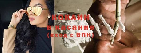 сатива Новодвинск