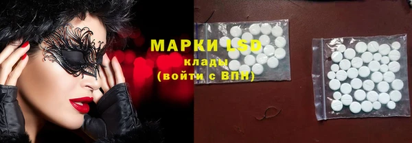 сатива Новодвинск