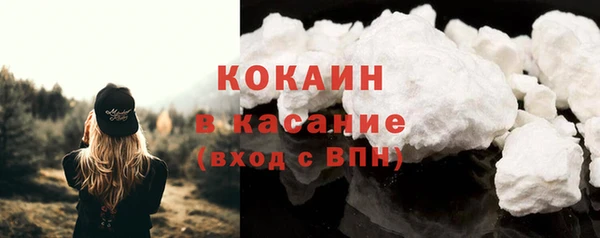 ГАЛЛЮЦИНОГЕННЫЕ ГРИБЫ Новозыбков