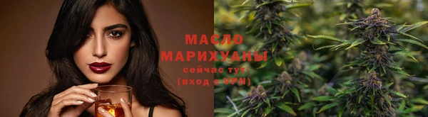 сатива Новодвинск