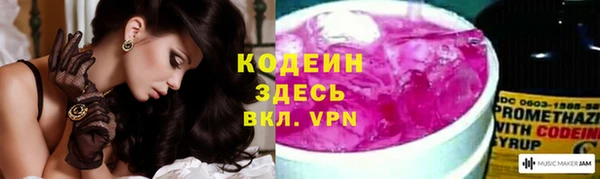 ГАЛЛЮЦИНОГЕННЫЕ ГРИБЫ Новозыбков
