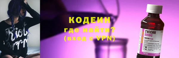 ГАЛЛЮЦИНОГЕННЫЕ ГРИБЫ Новозыбков