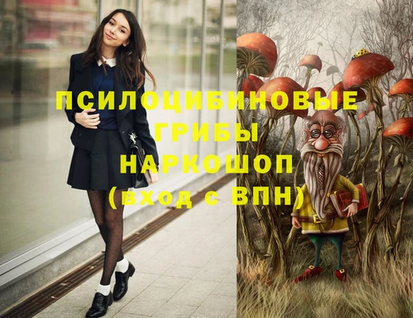 скорость Новокубанск