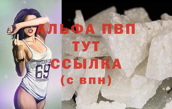 сатива Новодвинск