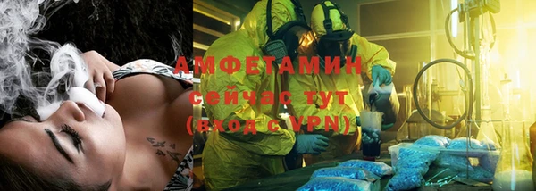 ПСИЛОЦИБИНОВЫЕ ГРИБЫ Богданович
