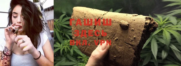 сатива Новодвинск