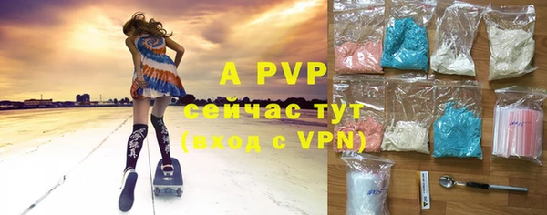сатива Новодвинск