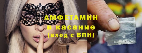 сатива Новодвинск
