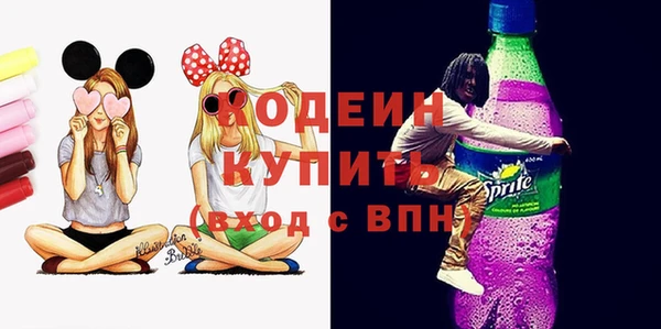 ГАЛЛЮЦИНОГЕННЫЕ ГРИБЫ Новозыбков