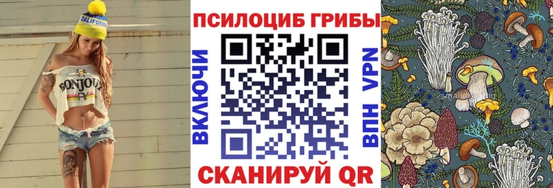 Псилоцибиновые грибы Psilocybe  купить  сайты  Лебедянь 